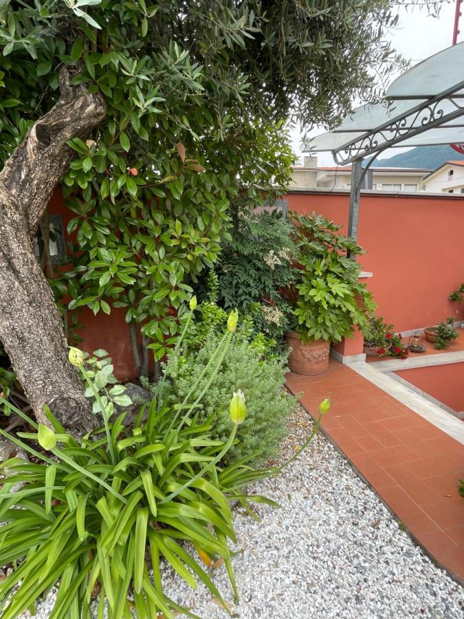 In Versilia Серавеца Екстериор снимка