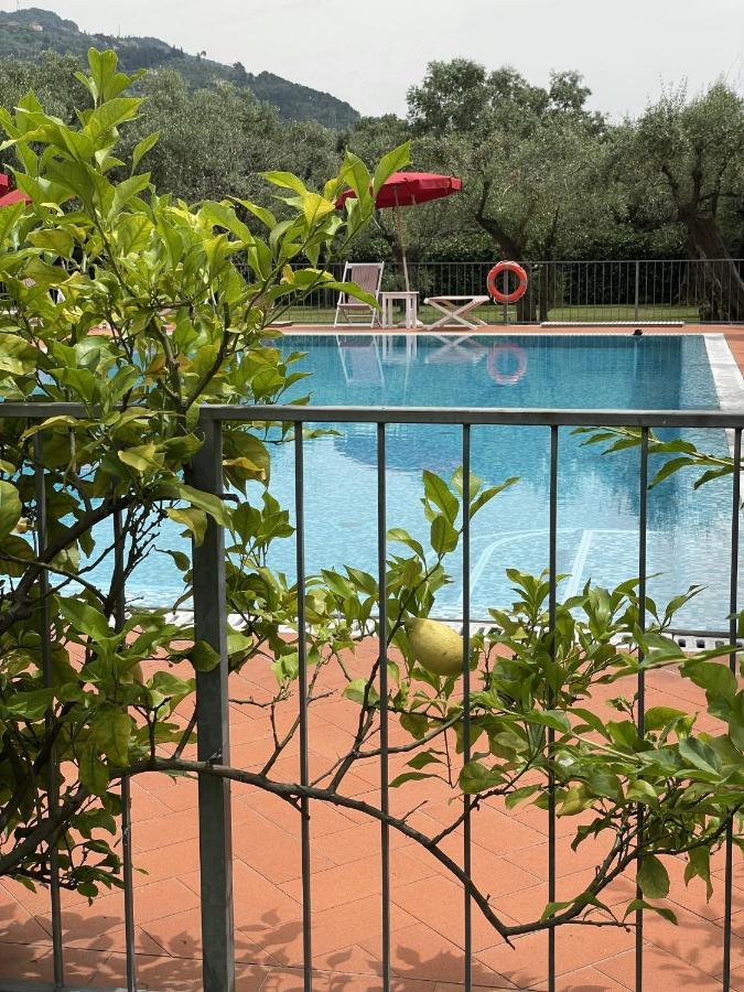 In Versilia Серавеца Екстериор снимка