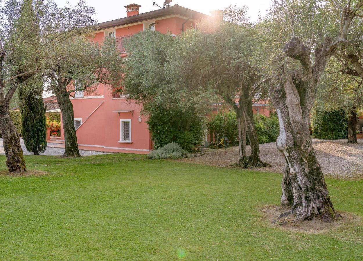 In Versilia Серавеца Екстериор снимка