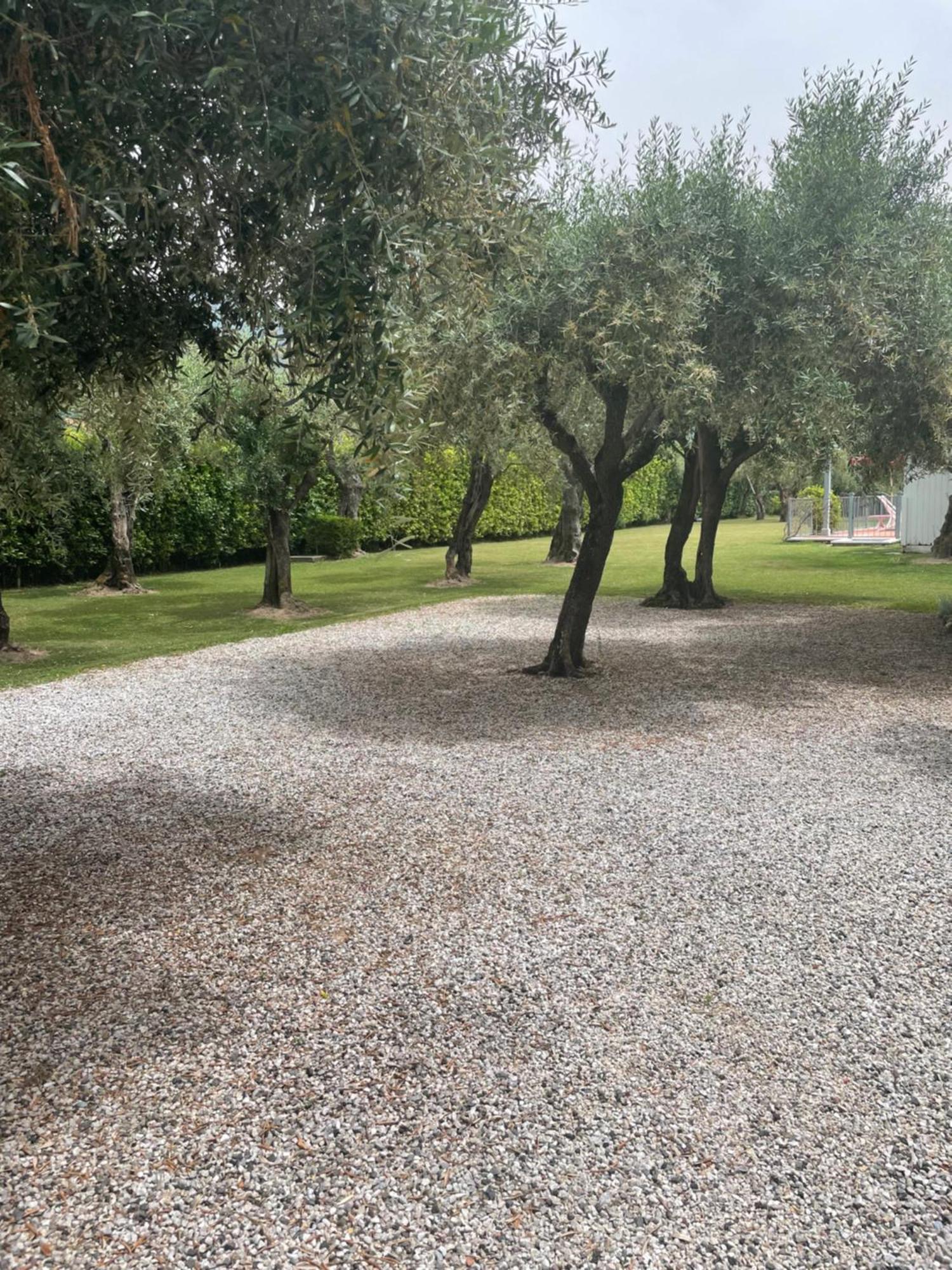 In Versilia Серавеца Екстериор снимка